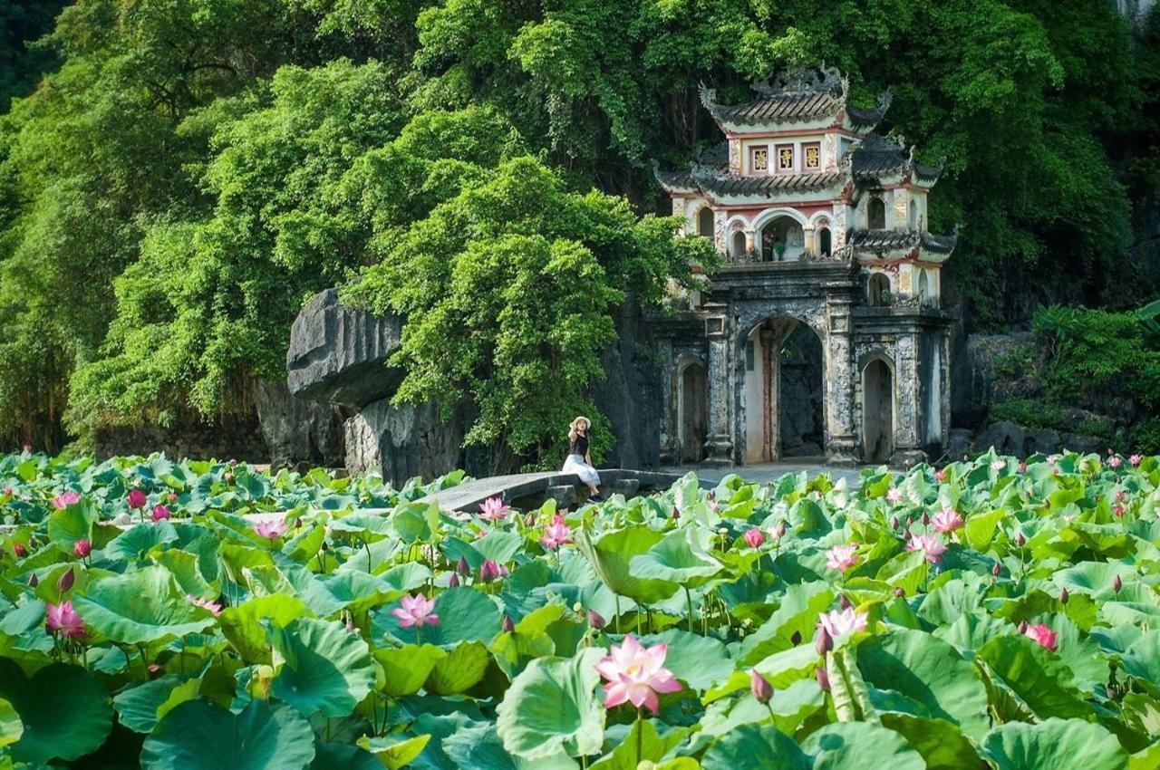 Nam Nhung Tam Coc Ninh Binh